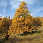 Oswaldeck Апартаменты